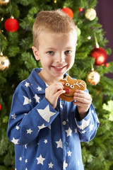 Young Boy Eating Cookie In Front Of Christmas Tree