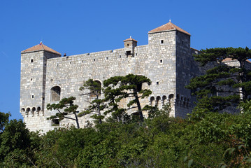 Fototapeta premium Castle