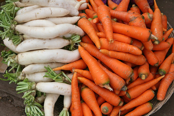 ニンジンと大根