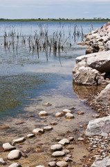 Fototapeta na wymiar Shoreline of wildlife refuge lake