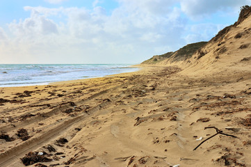 Tracks on the beach