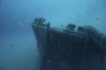 relitto equa liguria