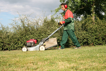 tonte de l'herbe par un jardinier paysagiste