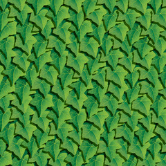 Lush ivies background.