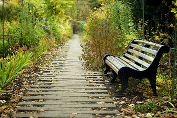 Empty park bench