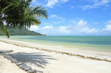 plage déserte de Praslin aux Seychelles