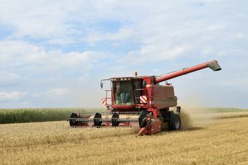 Fototapeta premium Moisson de blé