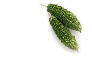 日本産のゴーヤ　埼玉県