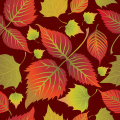 Fototapeta na wymiar Seamless autumn leaves background. Thanksgiving
