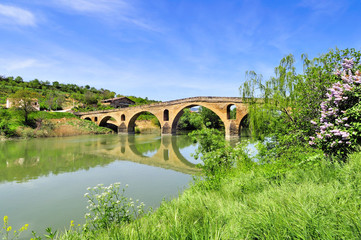 Bridge of the Queen (Puente la Reina)