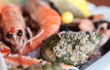 plateau de fruits de mer