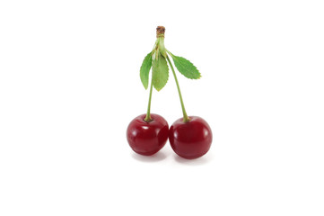 Cherry