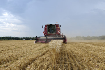 Obraz premium Moisson de blé