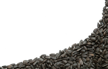 Obraz premium seeds