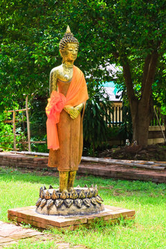 Standing Buddha on Lotus image