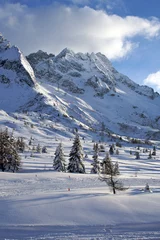 Fototapete Ski Mountain, Passo Tonale © Owen Mather
