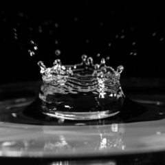 Water Drop