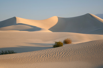 Dunes with Ripples