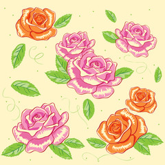 vector rose background