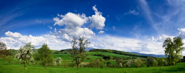 Fototapeten Spring landscape - green fields, the blue sky © Anobis