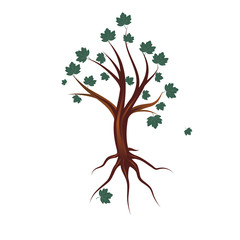 Stylized tree with leaves, vector illustration