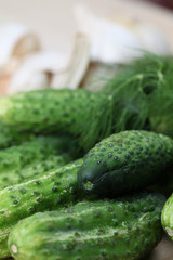 Cucumbers and dill