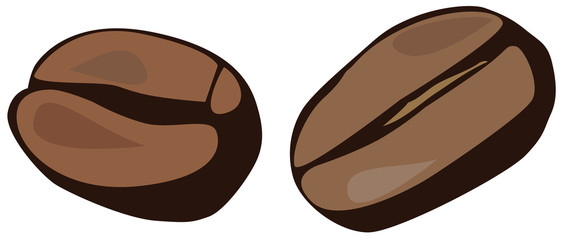 coffee beans