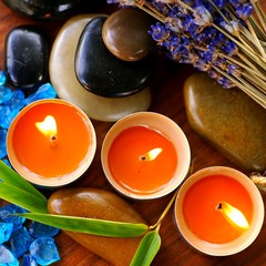 Wellness