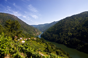cañon del sil, orense, galicia