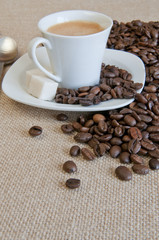 Café grains