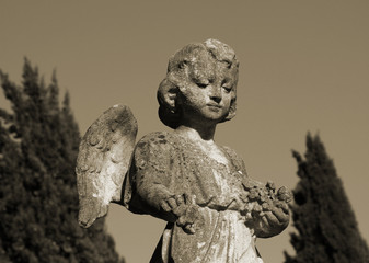 angel