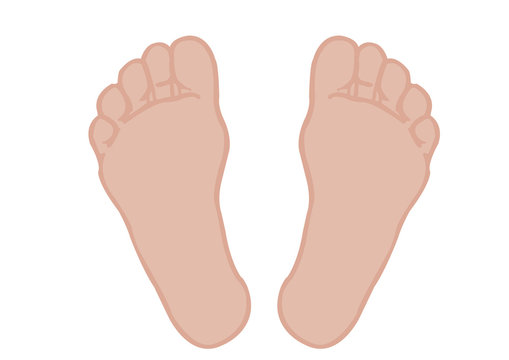 Vector illustration of a foot of feet on a white background
