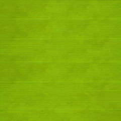 Grass green slatted background