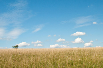 Wolken am blauem Himmel