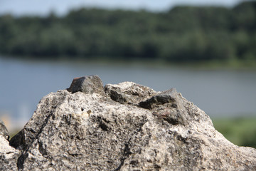 Blick auf den Viljandi järv