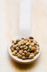 Spoon of coriander seeds