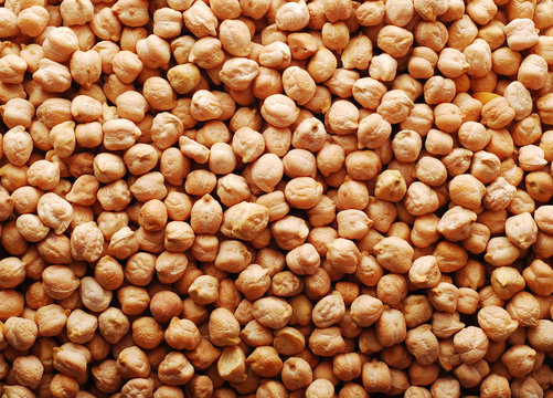 chickpea background