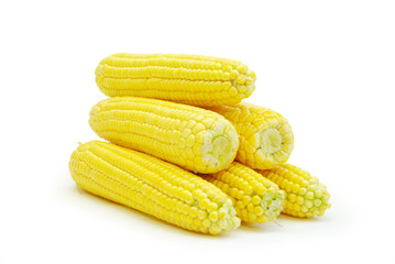 maize