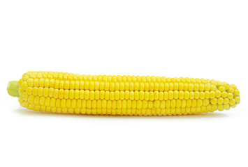 maize