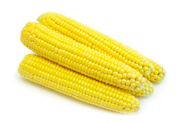 maize