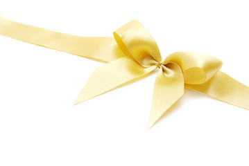 Fototapeta premium bow