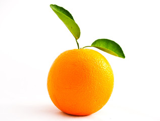 orange isolated on a white background