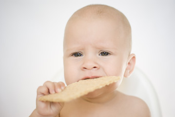 baby eats crisp bread