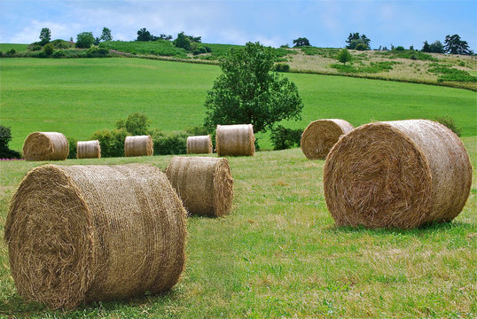 rouleau foin