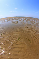Wattenmeer