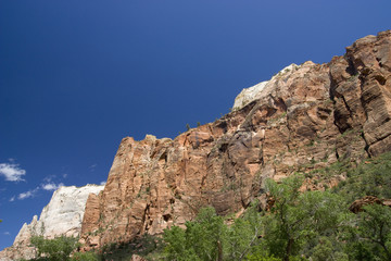 Fototapeta na wymiar Zion Canyon National Park