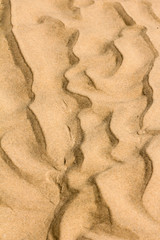 craquelure de sable