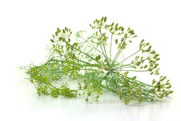 Dill