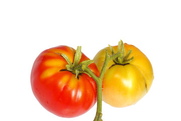 fresh tomatoes red and brown
