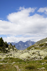 Fototapeta na wymiar Scarljoch widokiem na Engadin - Południowy Tyrol, Włochy
